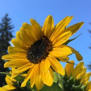 Meet your Posher, Taryn